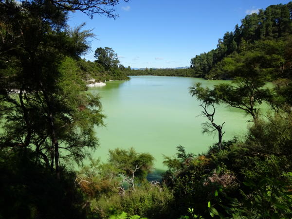 Lake Ngakoro