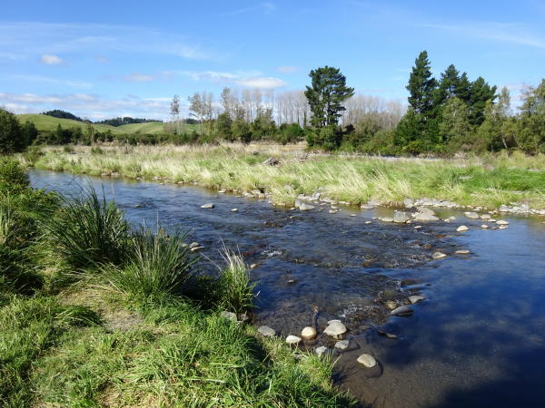 Tongariro River Trail – Wandern in Turangi