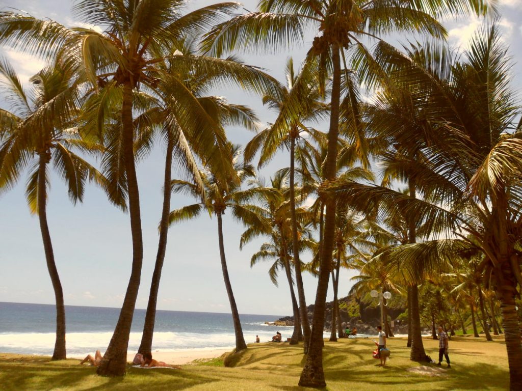 Réunion - Reiseblog Inseln zum Träumen