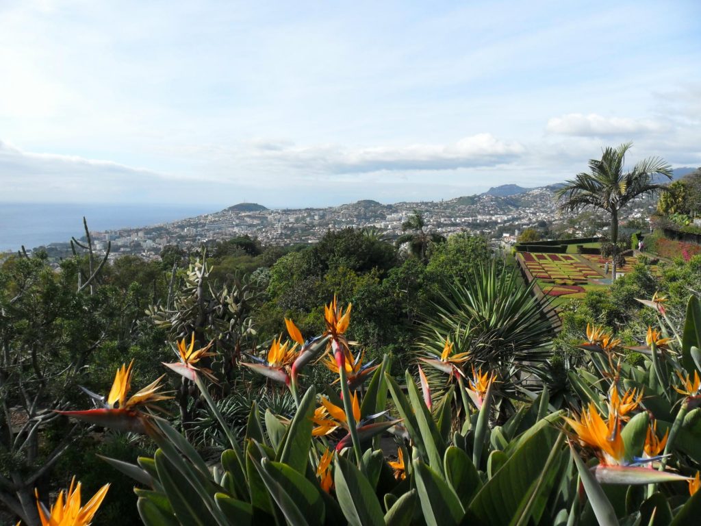 Jardim Botânico Funchal auf der Insel Madeira