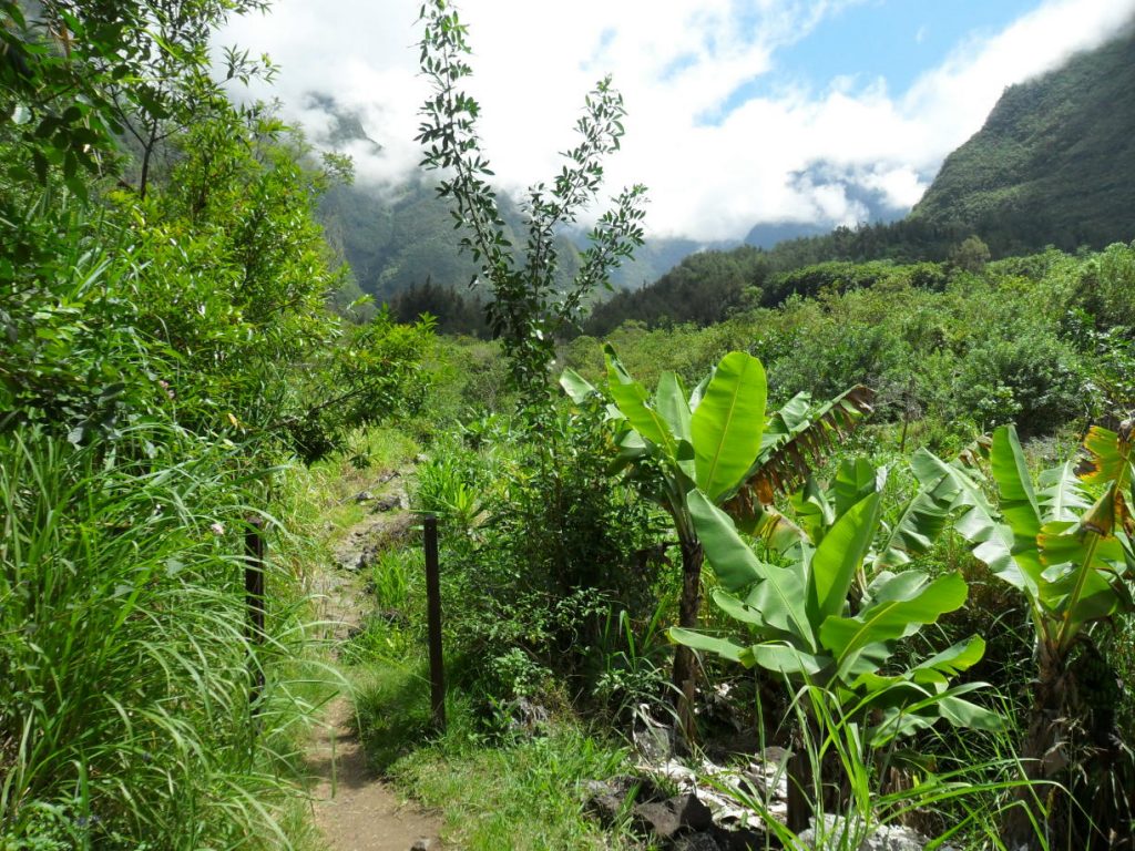 Wanderung ab Grand Galet auf der Insel Réunion