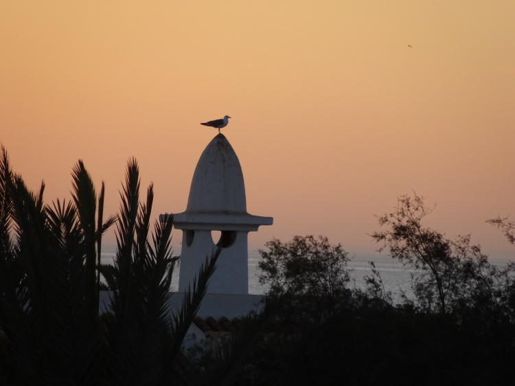 Sonnenuntergang in Agadir 