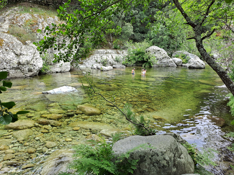 Flussbaden Tavignanu bei Corte - Korsika