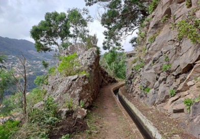 Levada do Caniçal