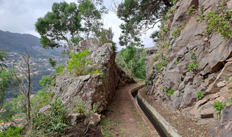 Levada do Caniçal