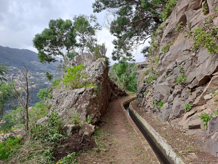 Levada do Caniçal
