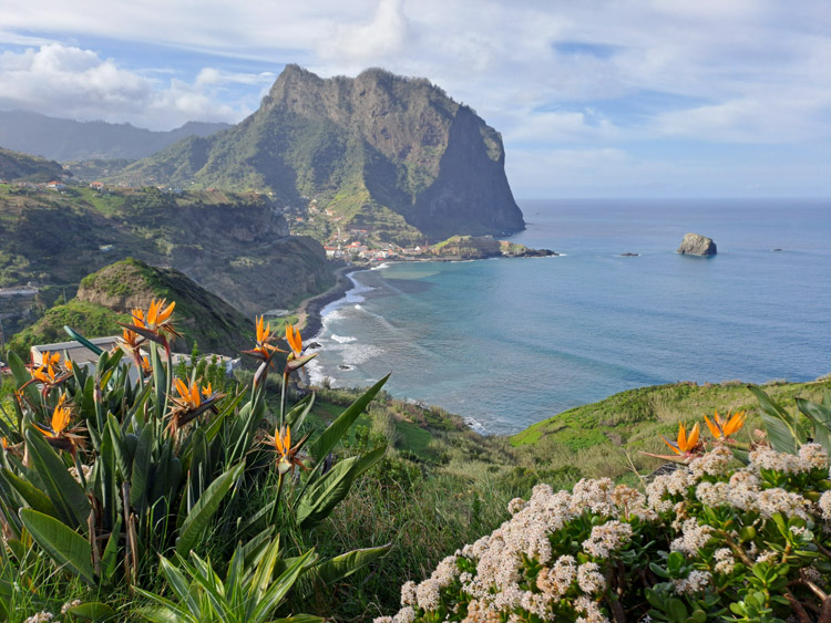 Blick auf Porto da Cruz mit Strelitzien im Vordergrund