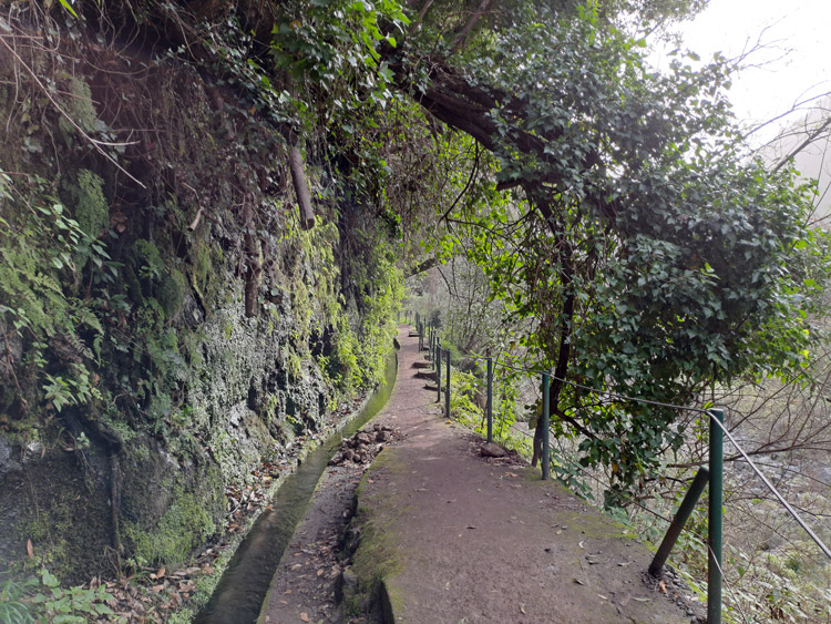 Levada do Moinho