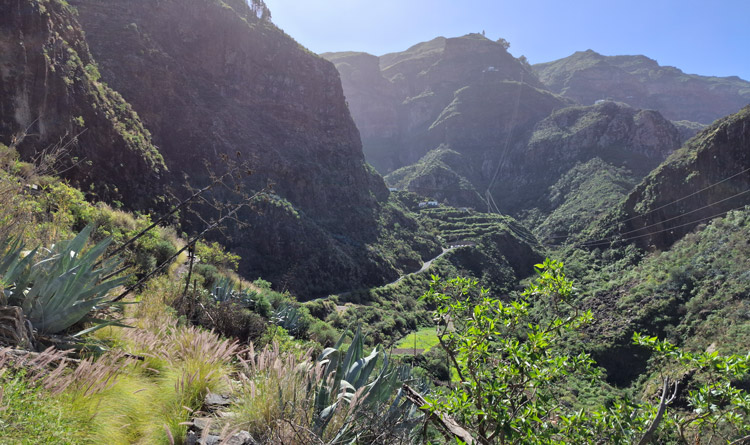 Wandern im grünen Agaete-Tal