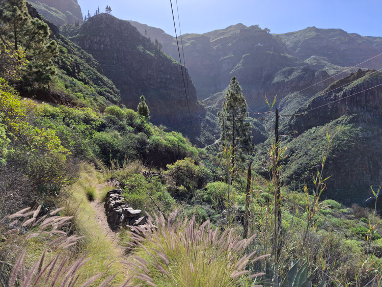 Wanderweg Richtung El Hornillo