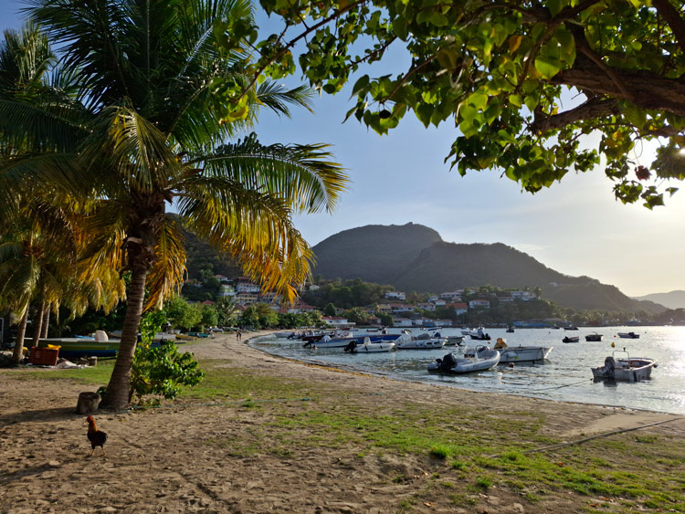 Strand in Le Bourg - Îles des Saintes