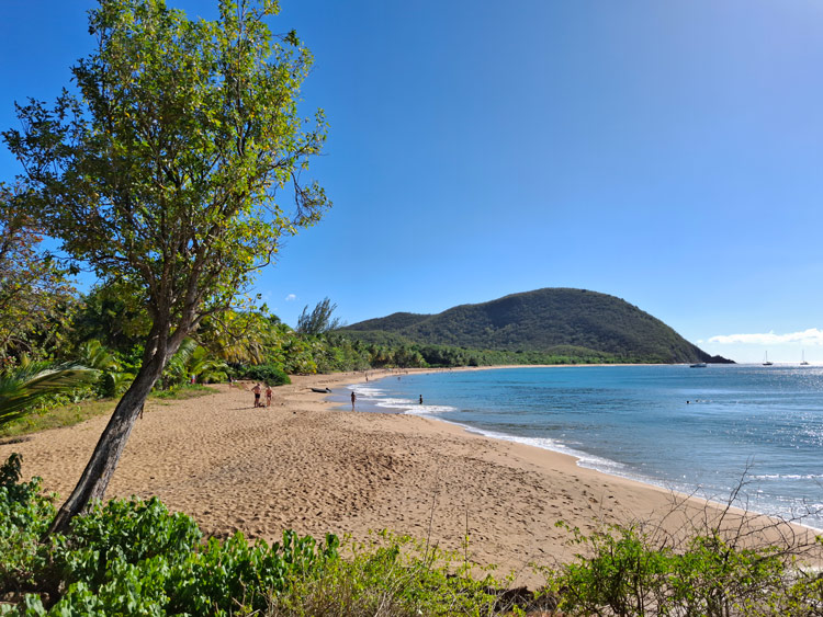 Blick auf die Plage de Grande Anse 