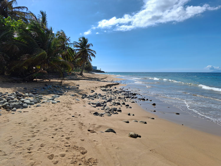 Plage du Grand Bas-Vent