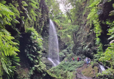 Los Tilos & Cubo de la Galga – Wandern durch den Lorbeerwald Wasserfall Los Tilos