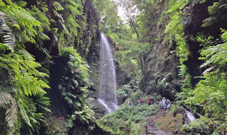 Wasserfall Los Tilos