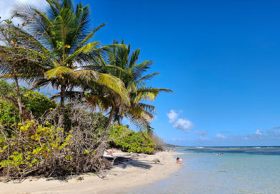 Plage de Bois Jolan - Guadeloupe