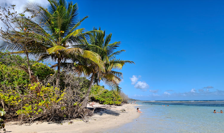 Plage de Bois Jolan - Guadeloupe