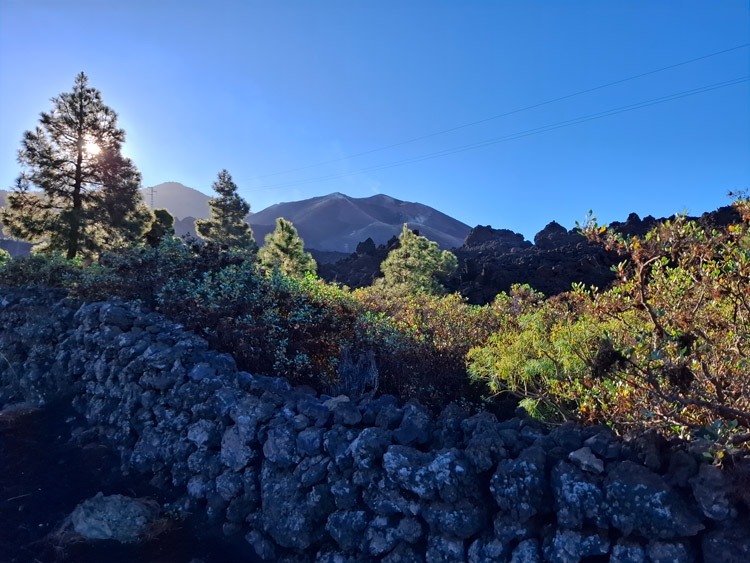 Blick zum Tajogaite