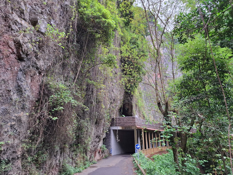 Straße nach Los Tilos
