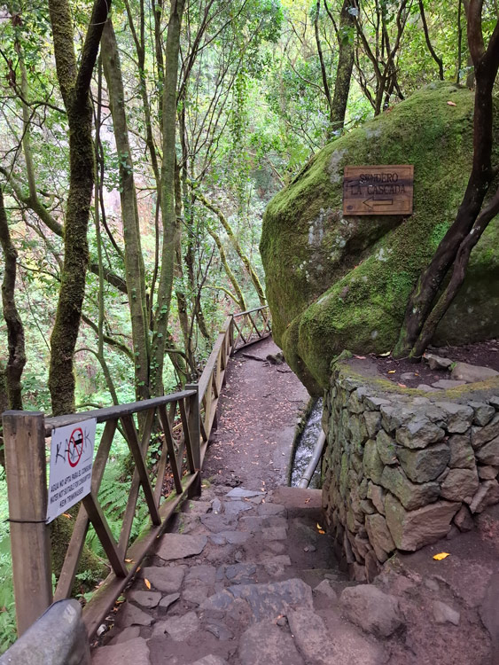 Weg zum Wasserfall Los Tilos