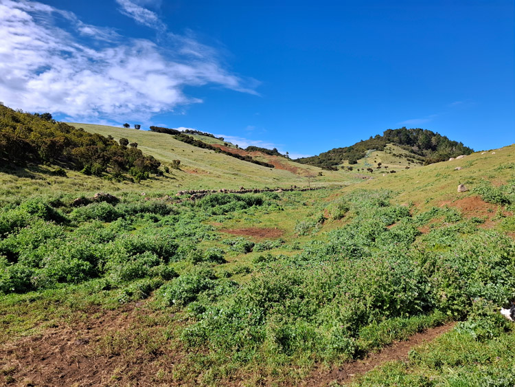 GR 131 Richtung Valverde