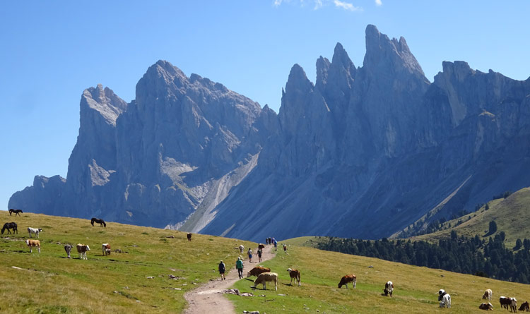 Panoramaweg zur Brogleshuette - Seceda