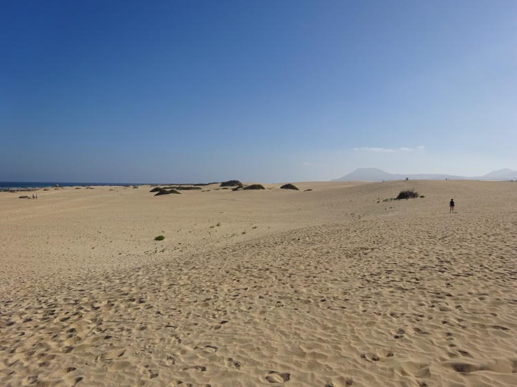 Dünen von Corralejo